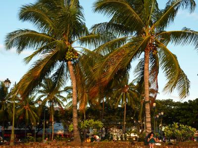 タヒチ　ダンス特訓の旅♪