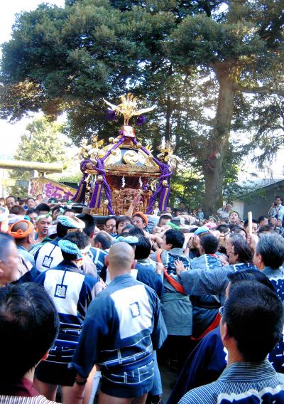 東京都世田谷区、商業の中心地三軒茶屋にある神社　”太子堂八幡神社のお祭り”