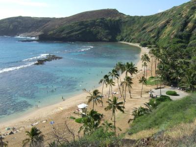 ワイワイハワイ♪