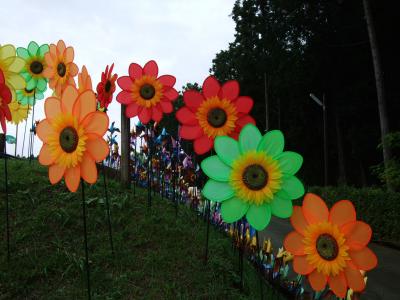 風車がいっぱい～時の栖・風の詩～