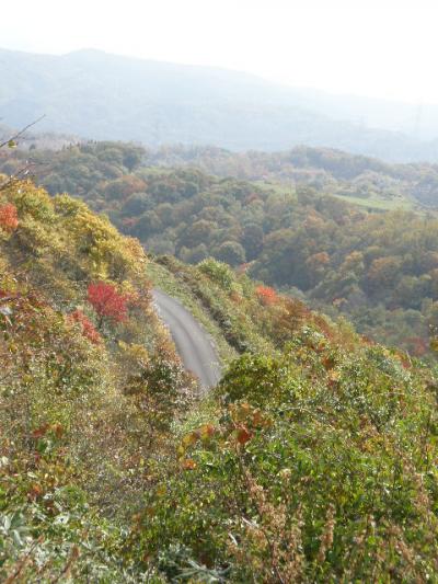 岐阜県・飛騨清見の里山