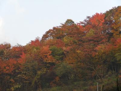 飛騨フォレストビレッジ周辺　朝の散策。