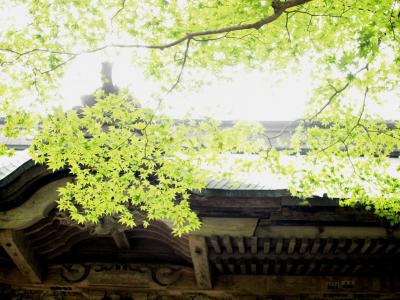 ┗榛名神社めぐり┓