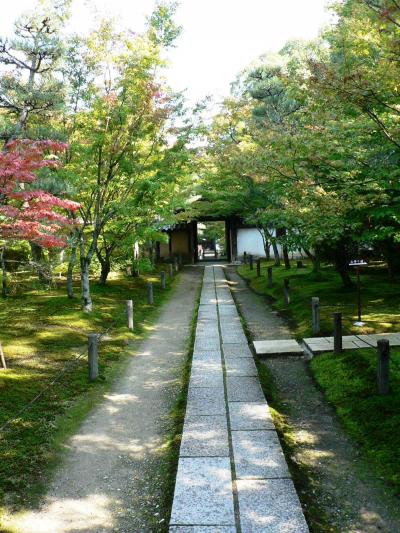 日本の旅　関西を歩く　京都、一休寺の二十世紀の森周辺