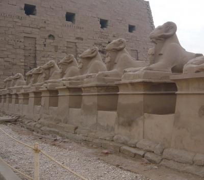 エジプト１０　ルクソール２（ルクソール神殿２、カルナック神殿）