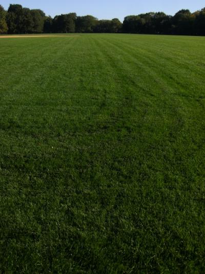 セントラルパーク