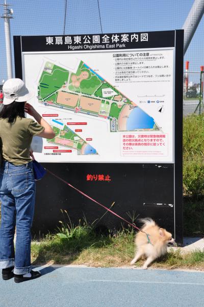 クーちゃん、東扇島「わんわん広場」に行く