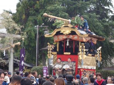 亀岡祭 初見