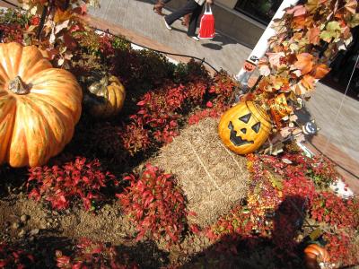 茨城栗拾い（梁田栗園）☆ハロウィンのあみアウトレット2009/10/18