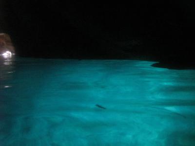 ３ヶ月ぶりの恩納村