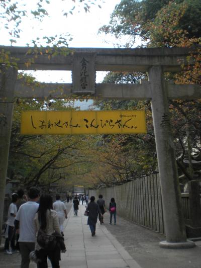 四国九州・1500kmの旅① ー香川編ー