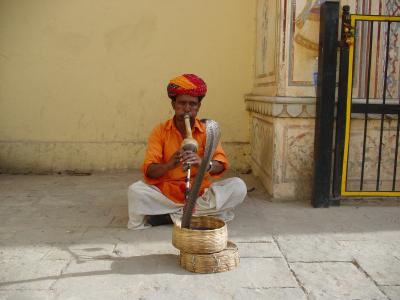 07年 インド(前半) もう、何だか色々びっくり・・・