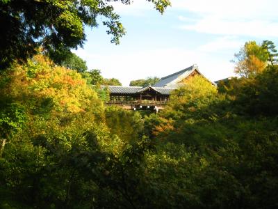 母と3度目の京都へ