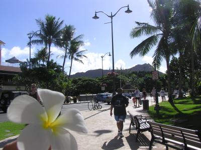 11月のBig Island【ハワイ島→オアフ島】