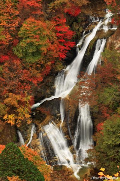[明治期オリジナル浮世絵] 日光名勝十二景 七瀑布／霜降滝　[栃木・名所絵] 明治期オリジナル浮世絵] 日光名勝十二景 七瀑布／霜降滝 [栃木