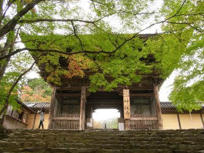 高雄の紅葉、神護寺（０９年秋）