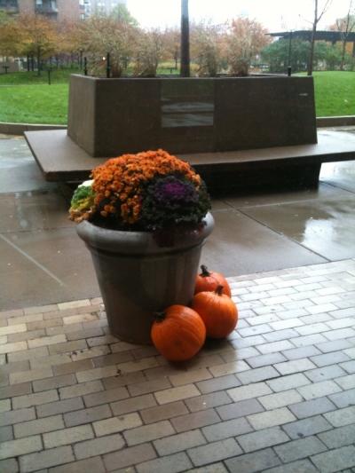 ものすごくお久しぶりです。