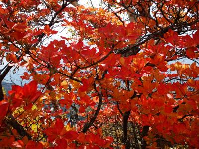 温泉&トレッキング 2日目~栂池