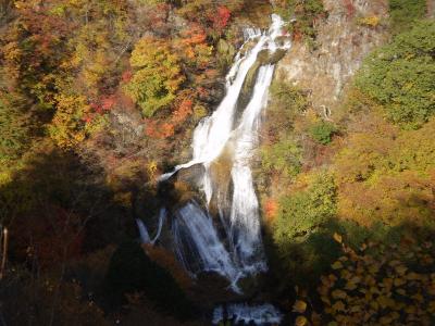 今年初めての紅葉！