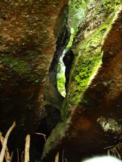 ☆箱根の山登り☆09.08.29 金時山登山の旅