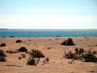 南米～アルゼンチン・プエルト・マドリン