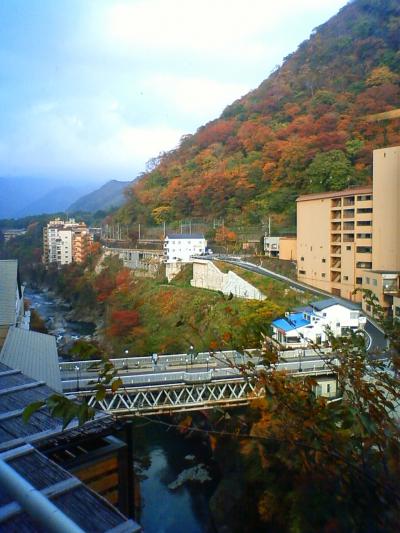 紅葉の鬼怒川とライン下り