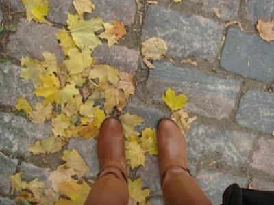 憧れの地☆Suomi３