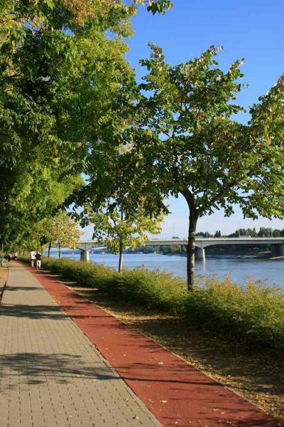 09年10月。2日目ハンガリー、マルギット島