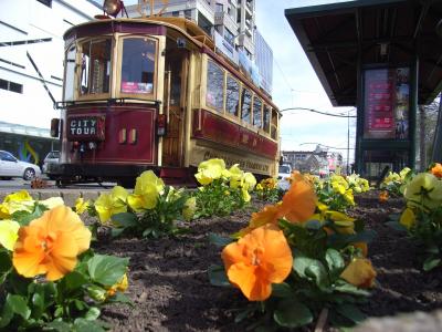 2009夏 ニュージーランド周遊記【クライストチャーチ編】