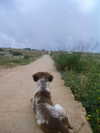 初のヨーロッパ マルタ共和国 その⑤ ハジャー・イム&イムナイドラ神殿と青の洞窟