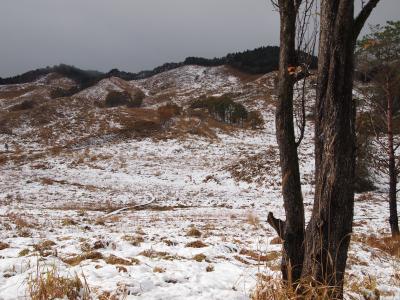 一面のススキは？　砥峰高原へ