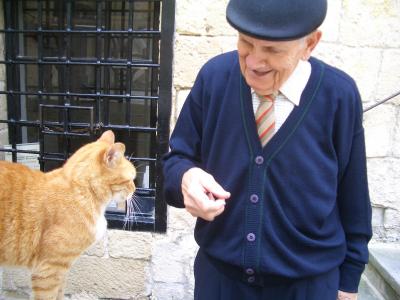 初のヨーロッパ マルタ共和国 その⑩ 番外編 マルタねこ★