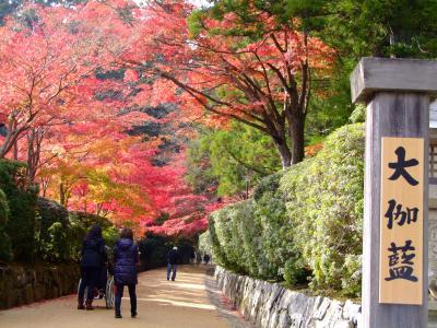 世界遺産　高野山の紅葉：2009年11月2日・3日