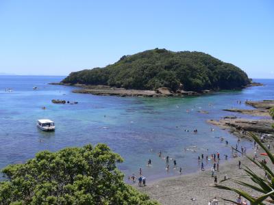 ●[ニュージーランド] Goat Islandでスクーバダイビング（オークランド番外編）