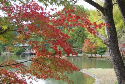 晩秋の福島・いわき市付近を訪ねて①願成寺・白水阿弥陀堂境域の浄土庭園