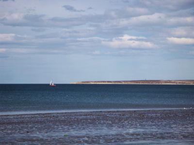 南米～アルゼンチン・プエルト・マドリン