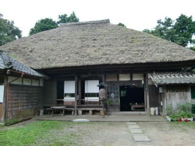 南房総②農家レストラン愚為庵(ぐいあん)と誕生寺、立國寺の猫