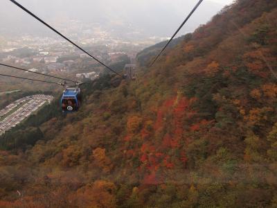 ２００９年１１月　紅葉を眺めて乗る箱根ロープウェイと霧の大涌谷の駐車場