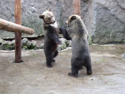 北海道～札幌、室蘭、洞爺湖～