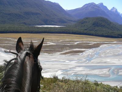 ●[ニュージーランド] グレノーキーで乗馬-Dart River Horse Riding-（クイーンズタウン番外編）