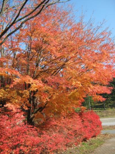 霊仙寺湖の紅葉