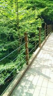 ミシュランな山’高尾山’