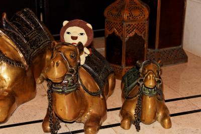 魅惑のドバイ デザートサファリ編