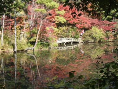 神戸市立森林植物園　2009・紅葉