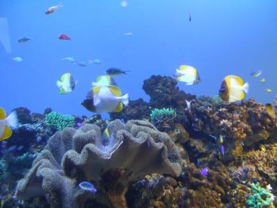 伊勢鳥羽～2日目～