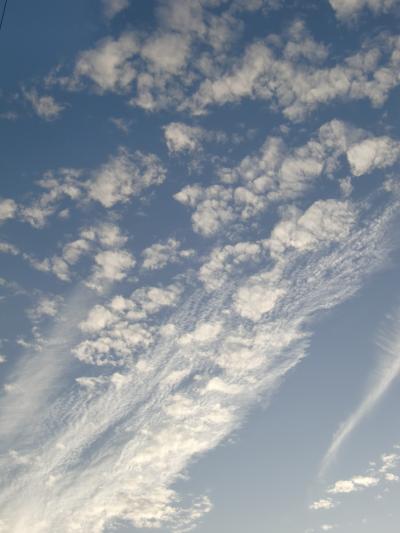 三好大提灯祭り2009：晴れたお空にぽっかりと。