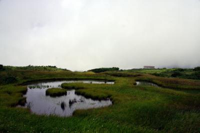 ２００９・東北ぶらり旅　５日目　～月山弥陀ヶ原湿原を散策～