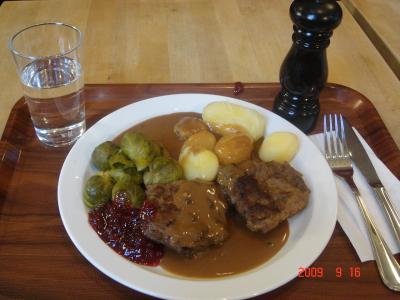 オスロ一人旅～観光編②～トナカイ食し、トラの銅像と戯れる