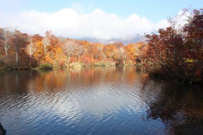 雨飾山は雨に濡れて③　紅葉の名所 鎌池へ