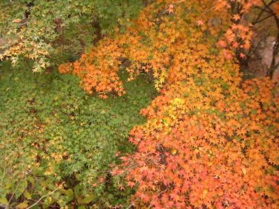 作成中★秋の袋田の滝・花貫渓谷・竜神峡